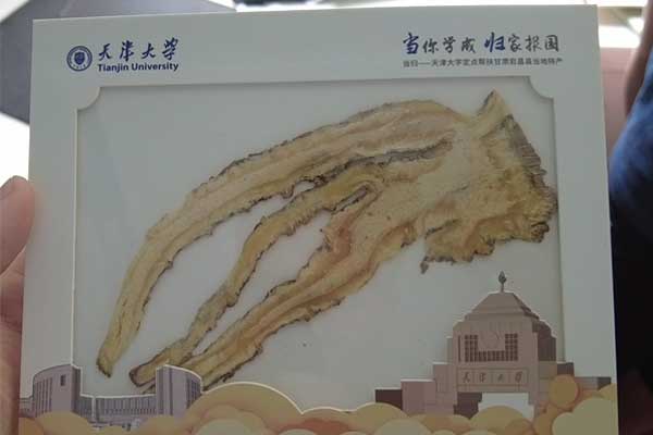 J9集团-国际站最新官网