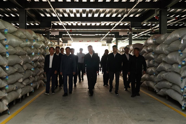 参观J9集团中药材仓储基地