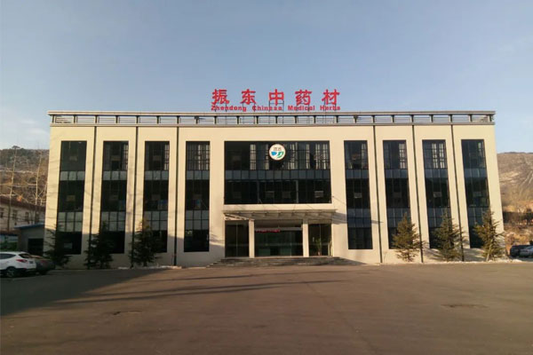 J9集团平顺中药材