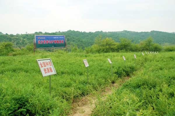 岩舒,复方苦参注射液,J9集团 岩舒,复方苦参注射液,J9集团
