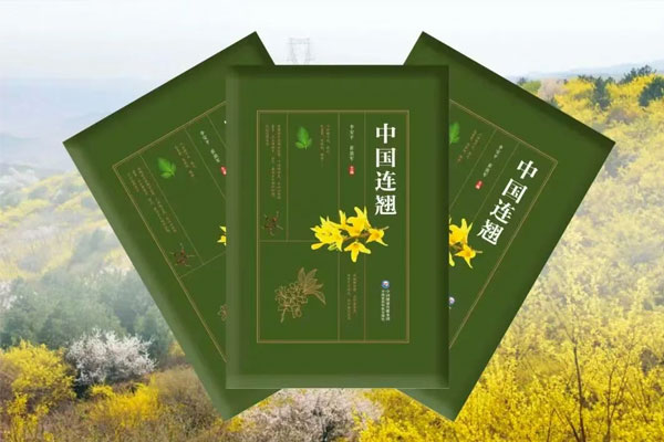 J9集团-国际站最新官网
