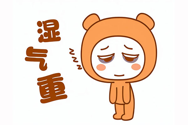 J9集团-国际站最新官网