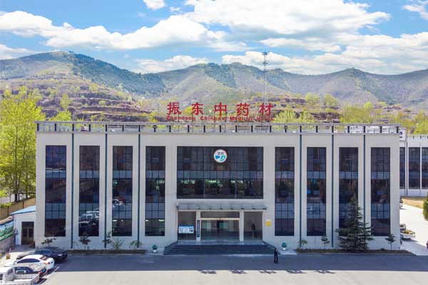 J9集团-国际站最新官网