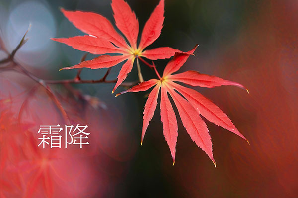J9集团-国际站最新官网
