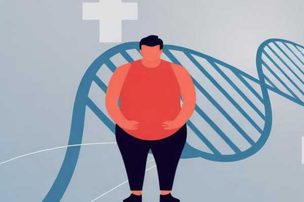 肥胖与癌症,BMI,中心性肥胖,科学减重,防癌 肥胖与癌症,BMI,中心性肥胖,科学减重,防癌