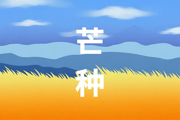 芒种养生,夏季养生,清补,穴位按摩,防暑