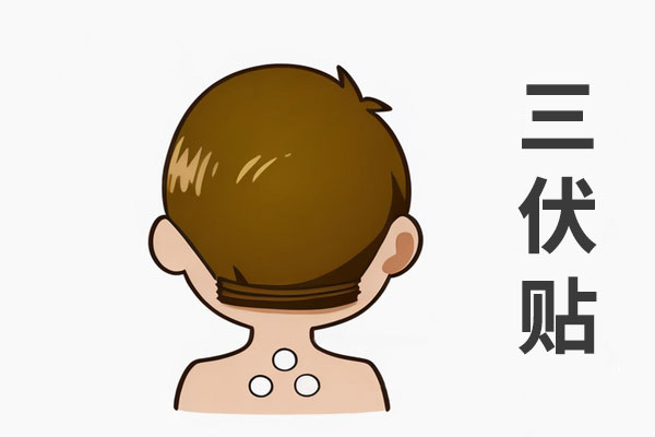 三伏天养生,冬病夏治,三伏贴适用人群,地域体质